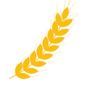 Duxton Farms Ltd logo