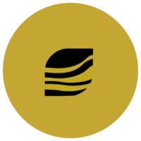 Dome Gold Mines Ltd logo