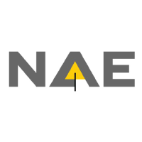 New Age Exploration Ltd logo