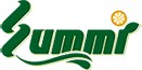Summi Group Holdings Ltd logo