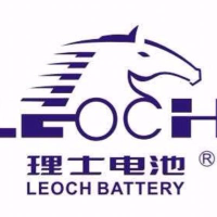 Leoch International Technology Ltd logo