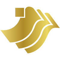 China Success Finance Grp hldg logo