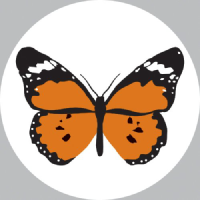 Brimstone Investment Corporation Ltd logo