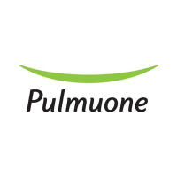 Pulmuone Holdi logo