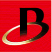 Bradespar S.A logo