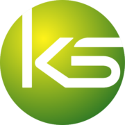 Dongguan Kingsun Optoelectronic Co Ltd logo