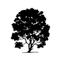 HLS Therapeutics Inc logo