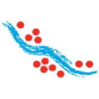 Laramide Resources Ltd. logo