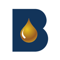 CBL International Limited Ordinary Shares logo