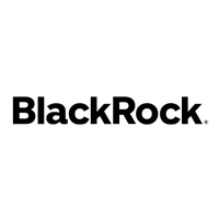 Blackrock Municipal Target Term Closed Fund logo