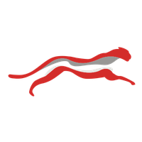 Cheetah Net Supply Chain Service Inc. Class A Common Stock logo