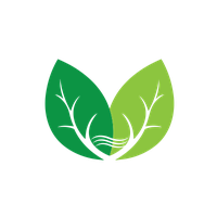 Greenwave Technology Solutions Inc. Common Stock logo