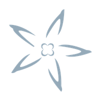 Gyrodyne Company of America Inc logo
