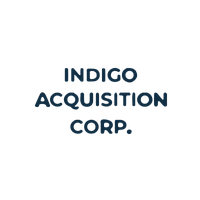Indigo Acquisition Corp. Ordinary Shares logo