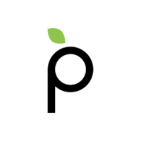 Plum Acquisition Corp. IV Class A Ordinary Shares logo