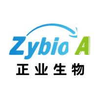 Zhengye Biotechnology Holding Limited Ordinary Shares logo