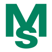 MS Industrie AG logo